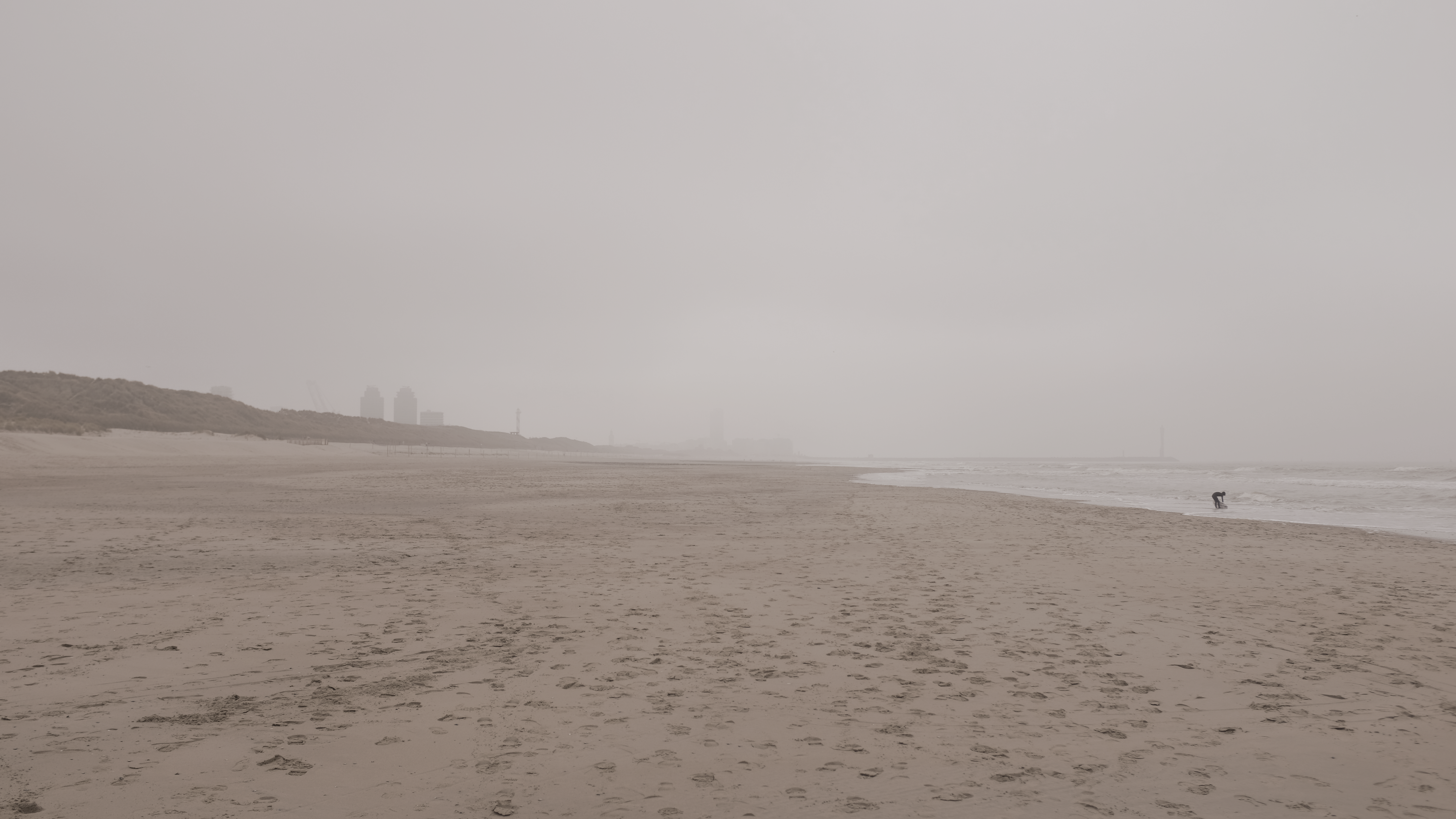 Foggy North Sea beach with dunes and a quiet shoreline